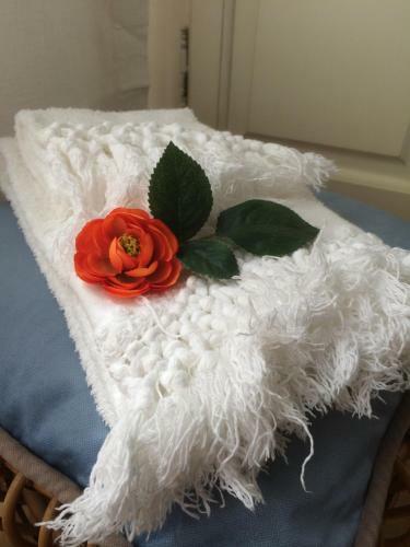 Apartamento Maison Rose