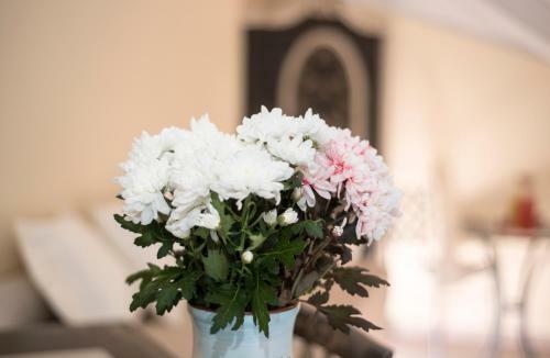 Bed & Breakfast Villa Fabiana