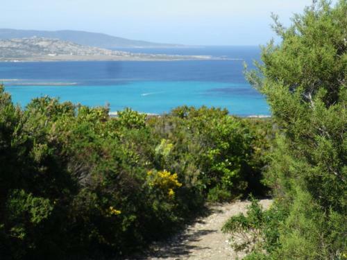 Apartamento Case Vacanza Cala Lupo
