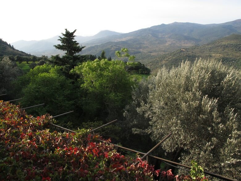Agroturismo Casa Migliaca