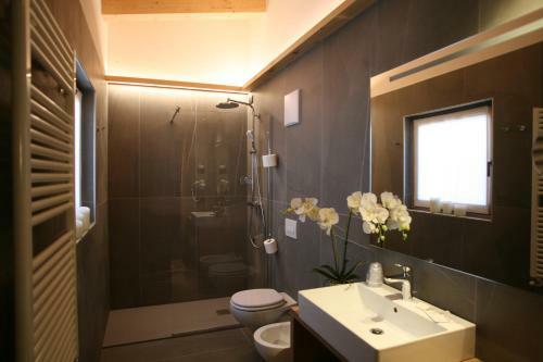 Alpen Hotel Vidi