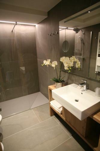 Alpen Hotel Vidi