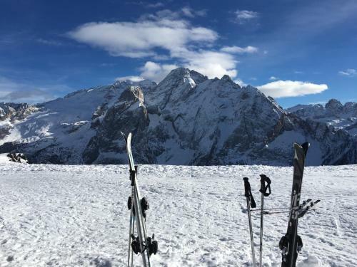 Apartamento Chalet Orchidea