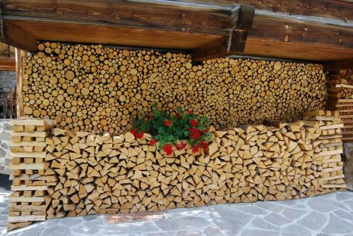 Apartamento Chalet Orchidea