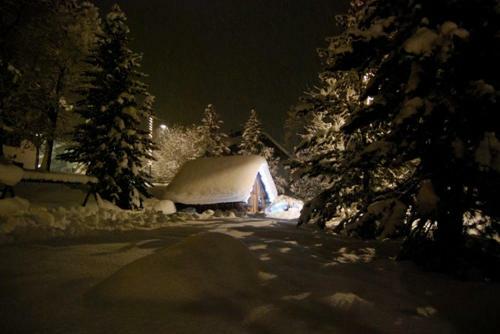 Apartamento Chalet Orchidea