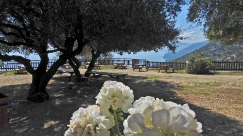 Agroturismo Agriturismo Codula Fuili