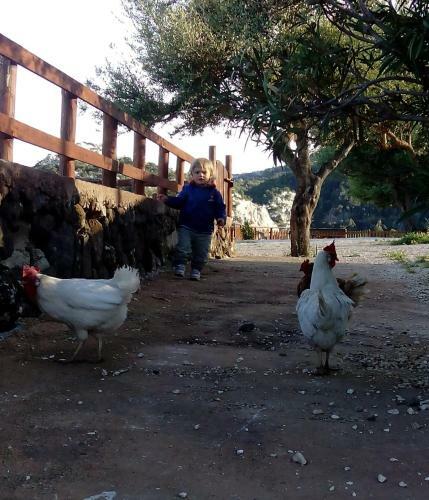 Agroturismo Agriturismo Codula Fuili