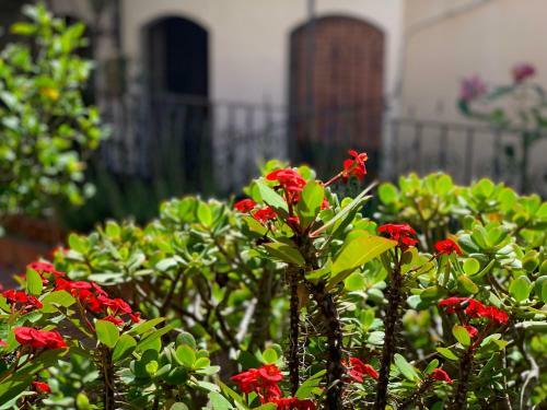 Apartamento Casa Vacanze Andromaco