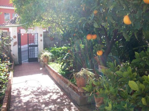 Apartamento Casa Vacanze Andromaco