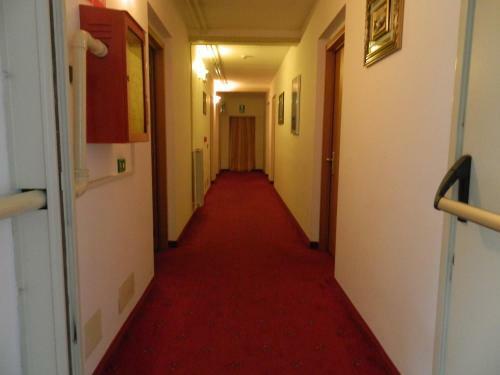 Hotel Ascot Lodging