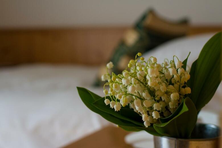 Hotel Chalet All'imperatore