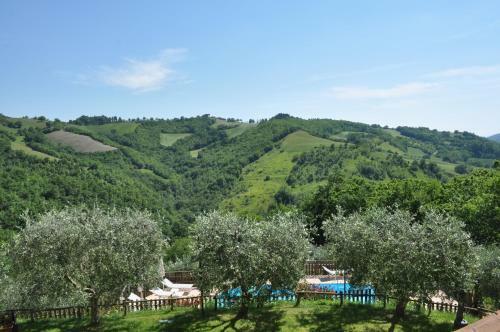 Apartamento Agriturismo Le Dolci Colline