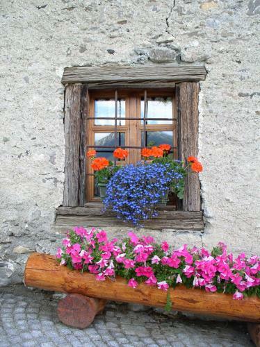 Agroturismo Agriturismo Barba Gust