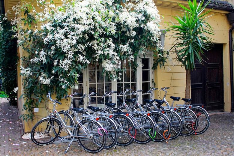 Hotel Greif
