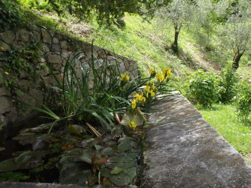 Apartamento Agriturismo Brasino
