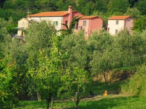 Apartamento Agriturismo Brasino