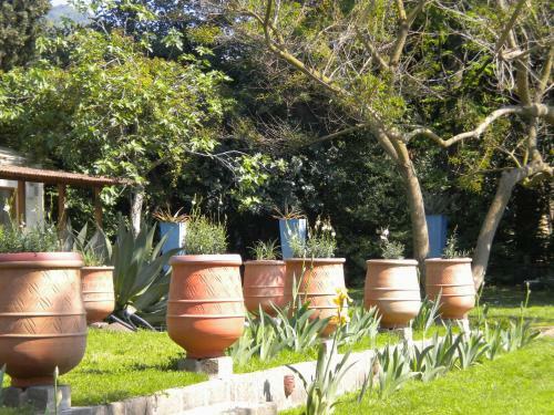 La Gallina Felice B&B