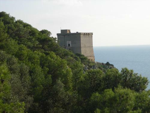 Torre Dell'alto Apartments
