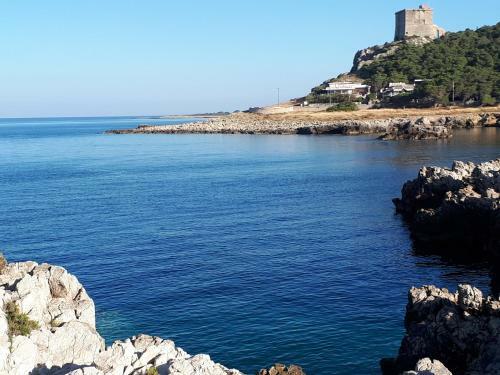 Torre Dell'alto Apartments