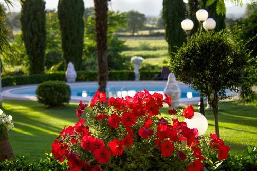 Bed & Breakfast La Duchessa
