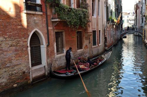 Charming Venice Apartments