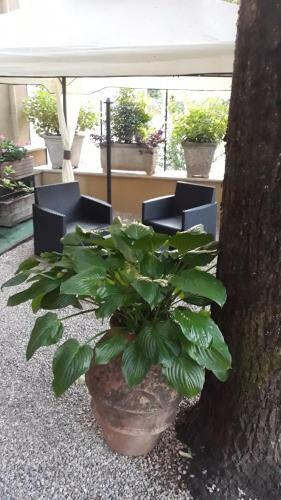 Hotel Delle Ortensie