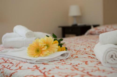 B&B Piazza Vittorio