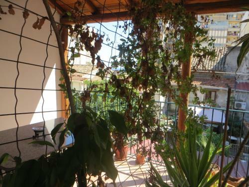 Bed & Breakfast Al Mare In Citt�