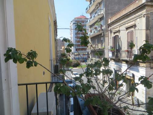 Bed & Breakfast Al Mare In Citt�
