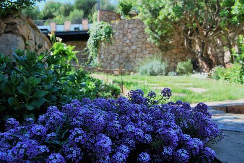 Apartamento Villa Mariposa Appartamenti