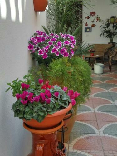 Hostal Corter� Guest House