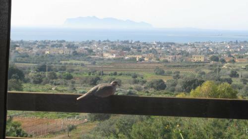 Panorama Casa Vacanze