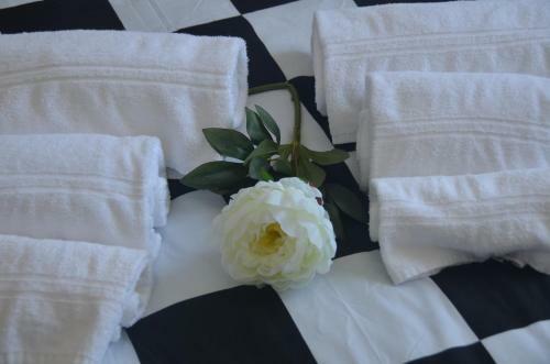 Apartamento Rosa Dei Venti Residence