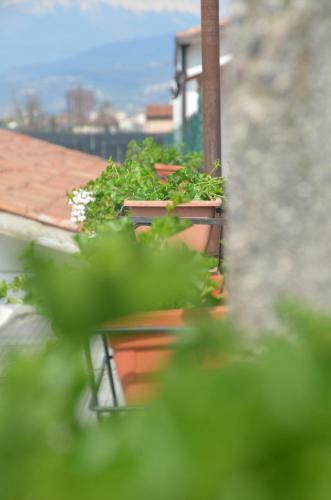 Apartamento Rosa Dei Venti Residence