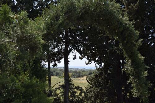 Agroturismo Villa Aurea Bed And Breakfast