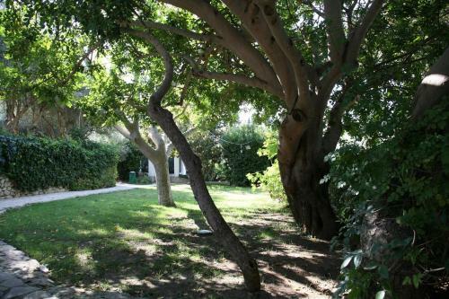Agroturismo Villa Aurea Bed And Breakfast