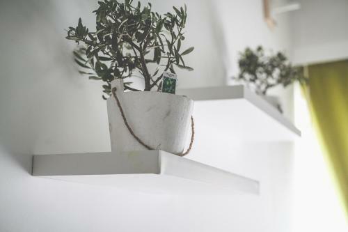 Bio Hotel Palermo