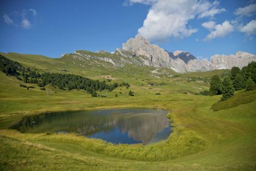 Garni Hotel Geier