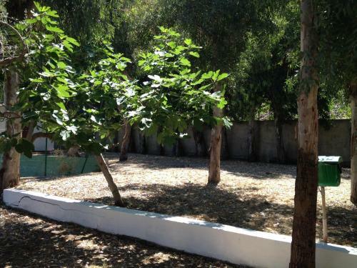 Camping B&B Gioiosa