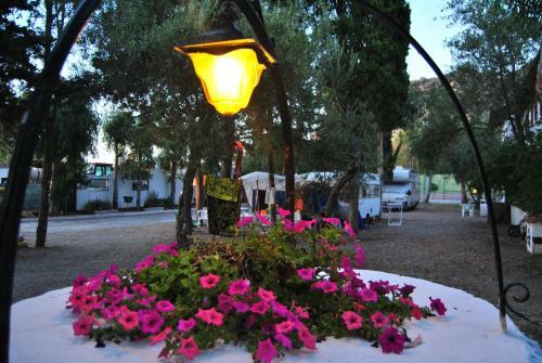 Camping B&B Gioiosa