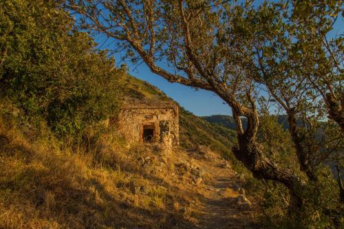 Camping B&B Gioiosa