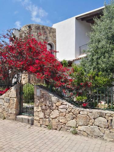 Sardamare Apartments
