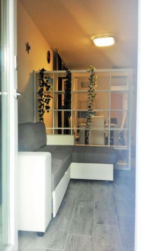 Sardamare Apartments