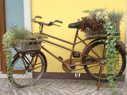 Apartamento Arcovacanze