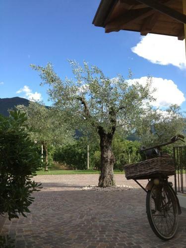 Apartamento Arcovacanze