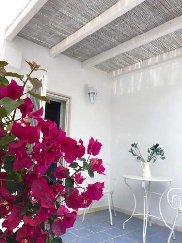 Apartamento Dimora Dorothy