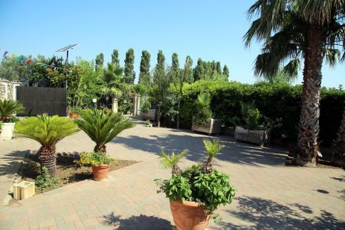 Hostal B&B Ventosolare Room & Relax