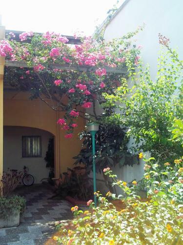 Casa Camelia
