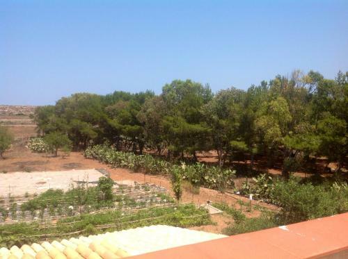 Apartamento Appartamenti Calarossa O' Cafe'
