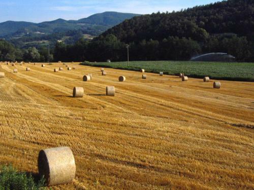 Agroturismo Agriturismo Francini